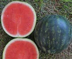 Miniature Passion Fruit Seeds - Grow Sweet and Fragrant Vines