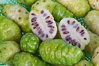 Noni fruit seeds for planting