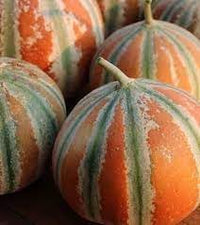 Kajari Melon Fruit Seeds for Growing a Sweet and Unique Melon Variety 100 Pcs pcs