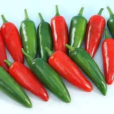 Jalapeño Capsicum annuum seeds for garden planting
