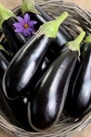 Eggplant Seeds for Planting, Black, 100 Pcs pcs