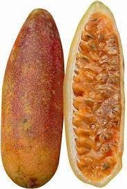 Curuba Fruit Seed Set for Unique, Tangy Fruit Production 100 Pcs pcs