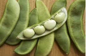 Bean Seeds for Vegetable Planting, 100 Pcs pcs