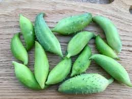 Cyclanthera Cyclanthera pedata seeds for garden planting