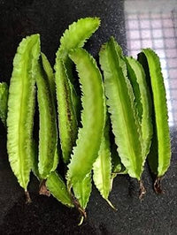 Winged Bean Vegetable Seeds for Planting - 100 Pcs