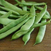 Bean Seeds for Gardening, 100 Pcs pcs