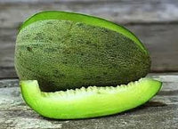 Bateekh Samara Melon Fruit Seeds for Sweet and Refreshing Melon Varieties 100 Pcs pcs