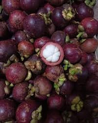 Mangosteen Fruit Seeds for Growing Sweet and Exquisite Mangosteens 100 Pcs pcs