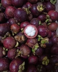 Mangosteen fruit seeds