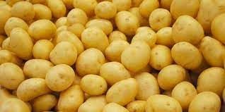 100 Pcs