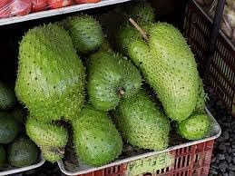 Giant Soursop Fruit Seeds - Organic, Non-GMO, High-Yielding Tropical Fruit 100 pcs
