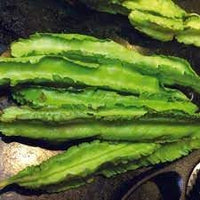 Winged Bean Seeds for Planting, 100 Pcs