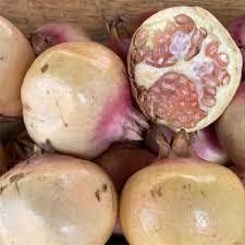White pomegranate fruit seeds