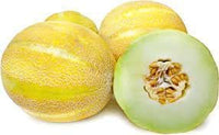 Melon Cucumis melo seeds for planting in home garden