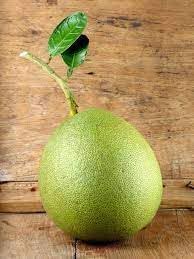 Pinonet melon fruit seeds for garden