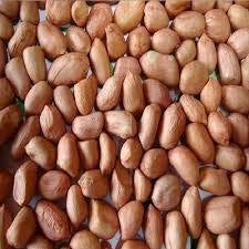Early Spanish Peanut Arachis hypogaea for planting in home garden