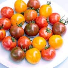 Heirloom Mixed Cherry Tomato Seeds for Planting - Non-GMO garden Seeds