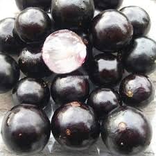 Cucumis dipsaceus seeds for planting in specialty garden