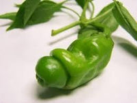 Peter Pepper Vegetable Seeds for Planting - 100 Pcs pcs