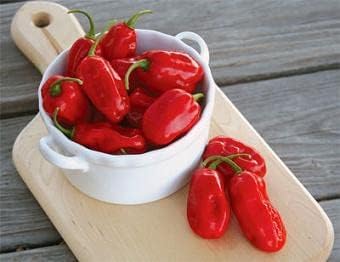 Zavory Pepper Seeds for Planting, 100 Pcs pcs