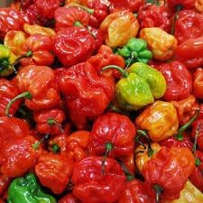 Ajicitoo Pepper Seeds for Planting - 100 Pcs pcs