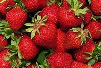 Japanese Hokowase Strawberry Fruit Seeds - Premium Quality, Non-GMO 100 Pcs pcs