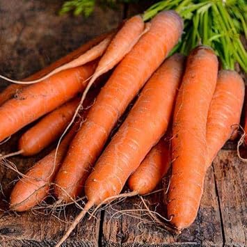 Carrot Vegetable Seeds for Planting - 100 Pcs pcs