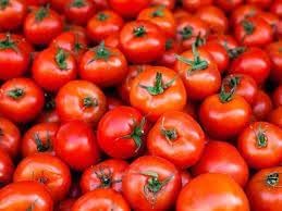 Tomtato hybrid seeds for home garden planting