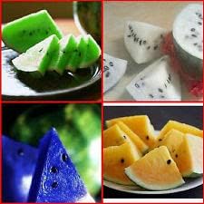 Multi-Colour Watermelon Fruit Seeds for Planting - Growing Fun and Colorful Watermelons