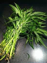 100 Pcs