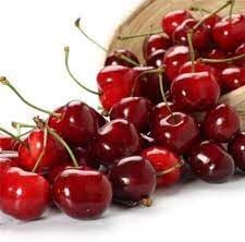 100 Pcs