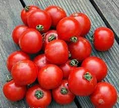 New Fresh 20pcs Arctic Plenty Fruit Seeds - Hardy Arctic Fruits for Cold Climate Gardens 100 Pcs pcs