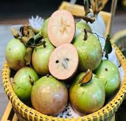 Fresh Vietnam Milk Melon Fruit Seeds for Planting Light Pale Pink 100 Pcs pcs