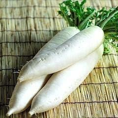 White Radish Seeds for Planting - 100 Pcs pcs