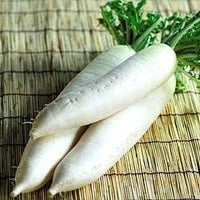 White Radish Seeds for Planting - 100 Pcs pcs