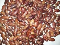 100 Pcs