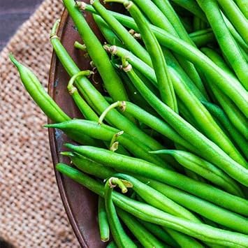 Mixed Bean Phaseolus spp. seeds for garden planting