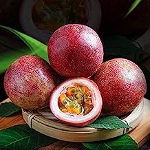 Passion fruit Passiflora edulis seeds for backyard garden