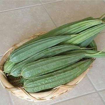 Ridge Gourd Luffa acutangula seeds for garden planting