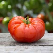 Mexican Silly Tomato Vegetable Seeds for Planting - 100 Pcs pcs