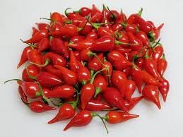 100 Pcs