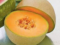 Musk Melon Fruit Seed Set for Sweet, Refreshing Melon Varieties 100 Pcs pcs