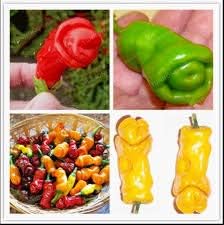 100 Pcs