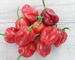100 Pcs