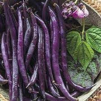 Bean Seeds for Vegetable Planting, 100 Pcs pcs