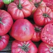 Tomato Seeds for Planting Dark Pink - 100 Pcs pcs