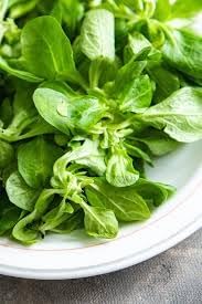 Lamb Lettuce Vegetable Seeds for Planting - 100 Pcs pcs