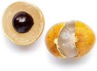 Golden Yellow Longan Dimocarpus longan seeds for planting in home garden