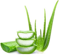 Aloe Vera Plant Seeds for Planting - NON GMO Seeds