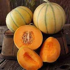 Melon fruit seeds